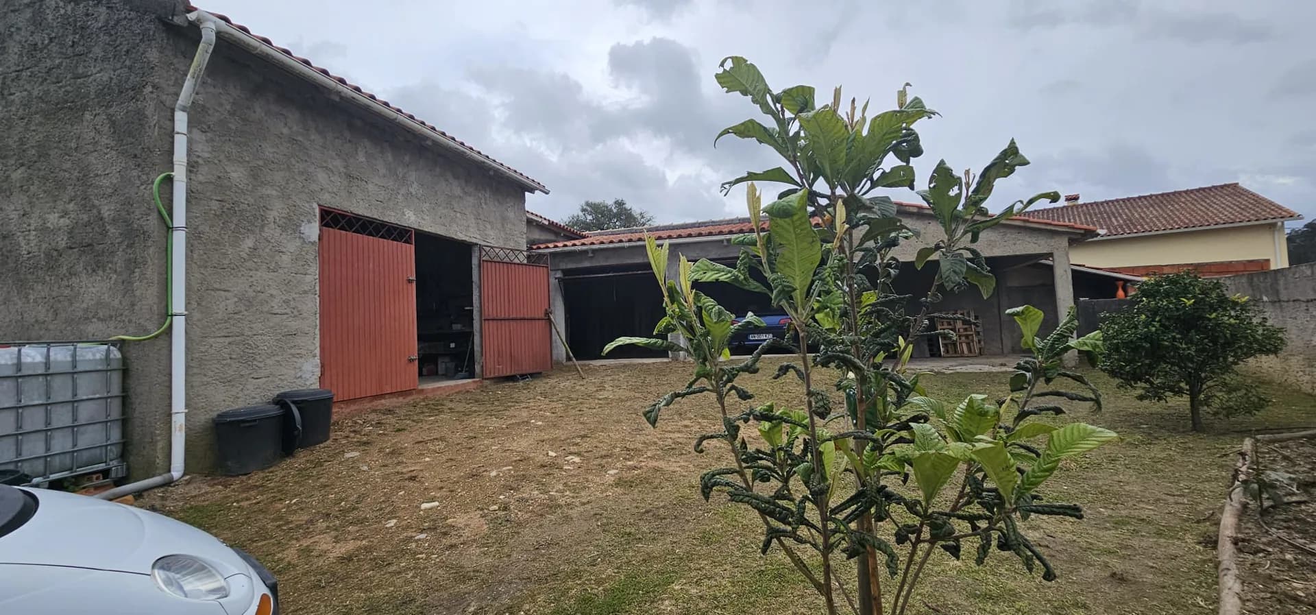 Foto 15
